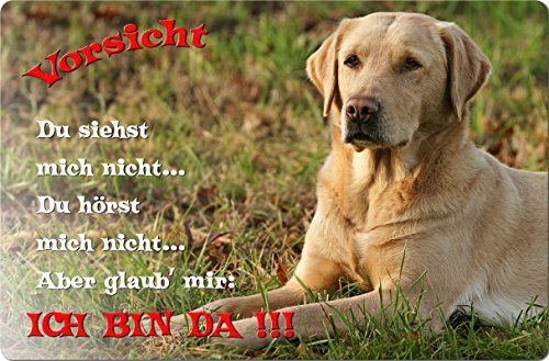 Nanyuk +++ Labrador Retriever - Metall Warnschild Schild Hundeschild Sign - LAB 48 T2 BLO von Nanyuk