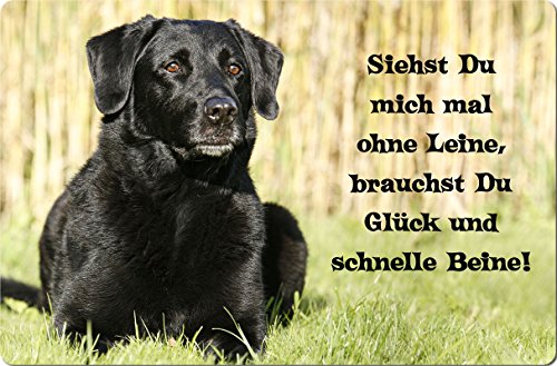 +++ LABRADOR Retriever - Metall WARNSCHILD Schild Hundeschild Sign - LAB 52 T12 S von Nanyuk