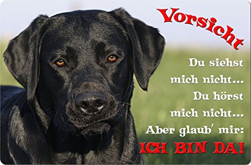 Nanyuk +++ Labrador Retriever - Metall Warnschild Schild Hundeschild Sign - LAB 57 T2 S Nanyuk +++ Labrador Retriever - Metall Warnschild Schild Hundeschild Sign - LAB 57 T2 S von Nanyuk