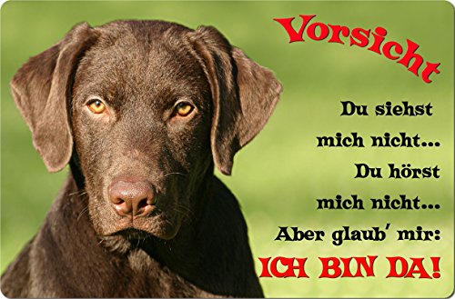 Nanyuk +++ Labrador Retriever - Metall Warnschild Schild Hundeschild Sign - LAB 58 T2 Bra von Nanyuk