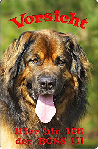 +++ LEONBERGER - Metall WARNSCHILD Schild Hundeschild Sign - LEO 06 T7 von Nanyuk