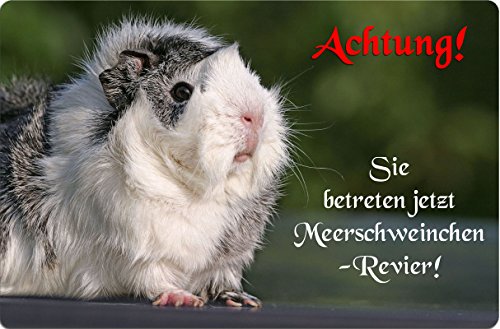 +++ MEERSCHWEINCHEN - METALL WARNSCHILD SCHILD TÜRSCHILD SIGN - MRS 04 von Nanyuk