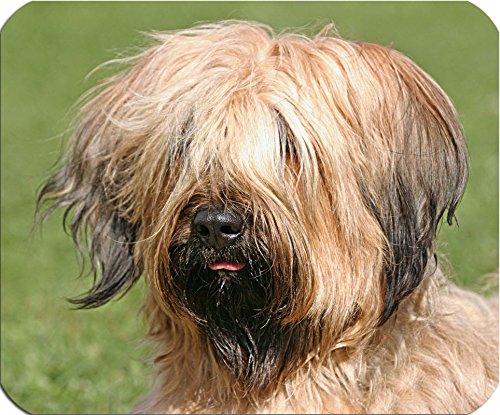 Nanyuk +++ Briard Berger de Brie - Textil Mousepad Mauspad Unterlage Mausmatte | 5 mm dick - BRD 01 von Nanyuk