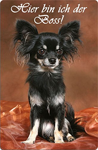 Nanyuk +++ Chihuahua - Metall Warnschild Schild Hundeschild Sign - CHI 03 T7 Nanyuk +++ Chihuahua - Metall Warnschild Schild Hundeschild Sign - CHI 03 T7 von Nanyuk