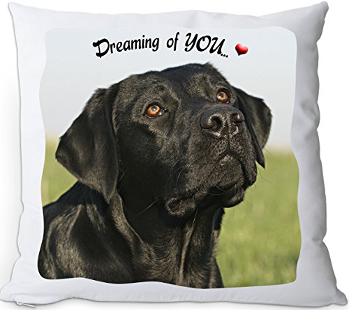Nanyuk +++ Labrador Retriever - Kissenbezug Kissenhülle | Pillow CASE/Kussensloop - LAB 07 von Nanyuk