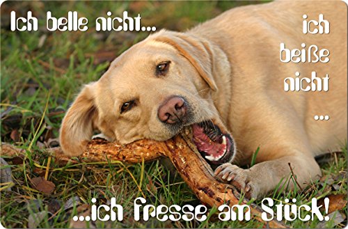 Nanyuk +++ Labrador Retriever - Metall Warnschild Schild Hundeschild Sign - LAB 02 T11 BLO Nanyuk +++ Labrador Retriever - Metall Warnschild Schild Hundeschild Sign - LAB 02 T11 BLO von Nanyuk