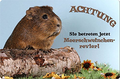 Nanyuk +++ MEERSCHWEINCHEN - Metall Warnschild Schild TÜRSCHILD Sign - MRS 01 Nanyuk +++ MEERSCHWEINCHEN - Metall Warnschild Schild TÜRSCHILD Sign - MRS 01 von Nanyuk