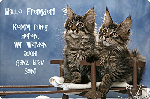 Nanyuk +++ Maine Coon Katze - Metall Warnschild Schild KATZENSCHILD Sign - MAC 01 von Nanyuk