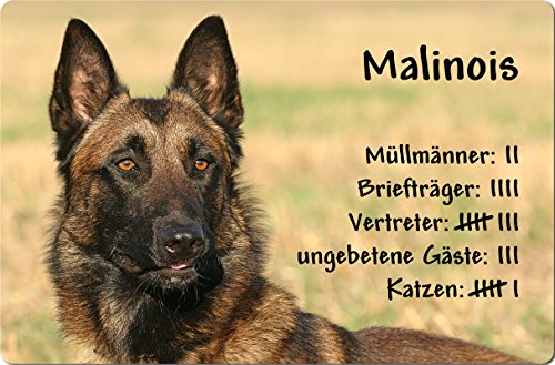 Nanyuk +++ Malinois Belgischer Schäferhund - Metall Warnschild Schild Hundeschild Sign - MAL 04 T4 von Nanyuk
