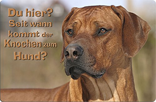 Nanyuk +++ Rhodesian Ridgeback - Metall Warnschild Schild Hundeschild Sign - RRB 11 T9 von Nanyuk