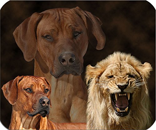 Nanyuk +++ Rhodesian Ridgeback - Textil Mousepad Mauspad Unterlage Mausmatte | 5 mm dick - RRB 02 Nanyuk +++ Rhodesian Ridgeback - Textil Mousepad Mauspad Unterlage Mausmatte | 5 mm dick - RRB 02 von Nanyuk