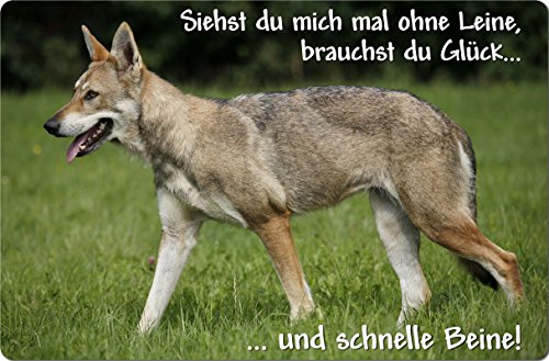 Nanyuk +++ SAARLOOS WOLFHUND Wolfhound - Metall Warnschild Schild Hundeschild Sign - Saw 03 T12 von Nanyuk
