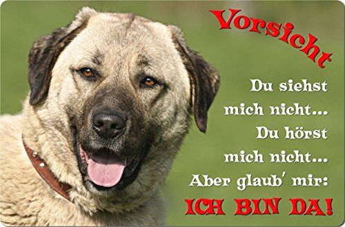 Nanyuk +++ Sivas Kangal - Metall Warnschild Schild Hundeschild Sign - SVK 18 T2 von Nanyuk