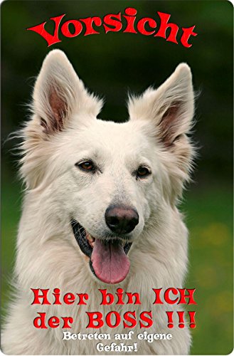Nanyuk +++ Weißer Schweizer SCHÄFERHUND - Metall Warnschild Schild Hundeschild Sign - WSS 06 T7 von Nanyuk