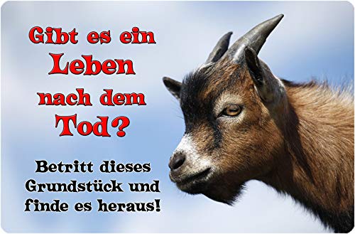 Nanyuk +++ Ziege - Metall Warnschild Schild Tierschild Sign - Zig 06 von Nanyuk