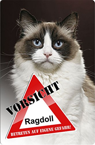 +++ RAGDOLL Katze - Metall WARNSCHILD Schild Katzenschild Sign - RGD 01 T3 von Nanyuk