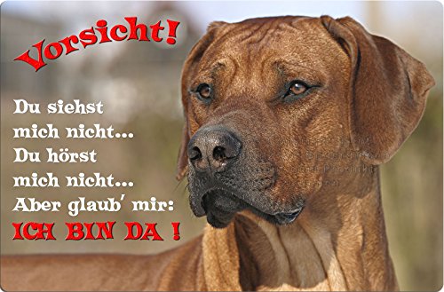 +++ RHODESIAN RIDGEBACK - Metall WARNSCHILD Schild Hundeschild Sign - RRB 35 T2 von Nanyuk