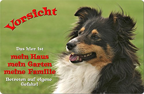 +++ SHELTIE Shetland Sheepdog - Metall WARNSCHILD Schild Hundeschild Sign - SHT 03 T1 von Nanyuk