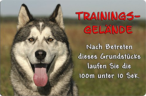 +++ SIBERIAN Sibirien HUSKY Schlittenhund - Metall WARNSCHILD Schild Hundeschild Sign - SBH 21 T20 von Nanyuk