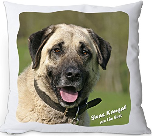 +++ SIVAS KANGAL - Kuschelkissen/KISSEN | PILLOW/Kussen - SVK 04 von Nanyuk