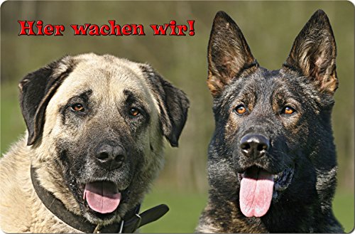 +++ SIVAS KANGAL & Schäferhund - Metall WARNSCHILD Schild Hundeschild Sign - SVK 14 T15 von Nanyuk