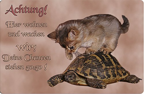 +++ SOMALI Katze & SCHILDKRÖTE - METALL WARNSCHILD SCHILD TÜRSCHILD SIGN - TIF 01 von Nanyuk