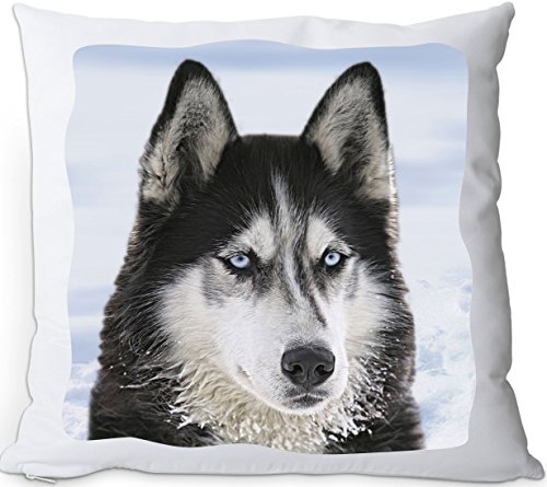 +++ Siberian SIBIRIEN Husky - Kuschelkissen/KISSEN | PILLOW/Kussen - SBH 04 von Nanyuk