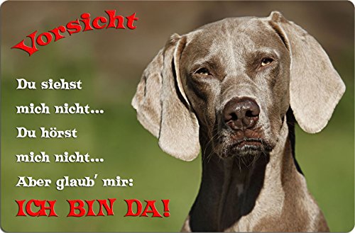 Nanyuk +++ Weimaraner - Metall Warnschild Schild Hundeschild Sign - WEI 02 T2 von Nanyuk