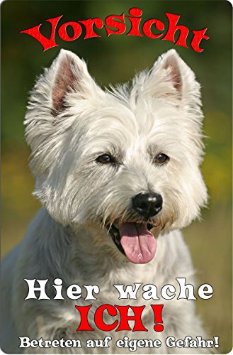 +++ WEST HIGHLAND WHITE Terrier - Metall WARNSCHILD Schild Hundeschild Sign - WESTIE 03 T15 von Nanyuk