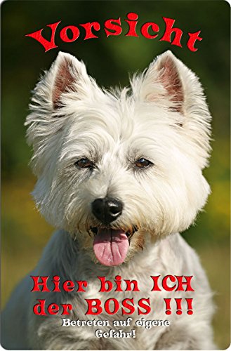 +++ WEST HIGHLAND WHITE Terrier - Metall WARNSCHILD Schild Hundeschild Sign - WESTIE 04 T7 von Nanyuk
