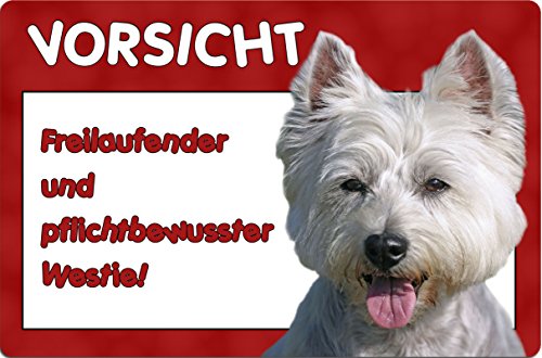 Nanyuk +++ West Highland White Terrier - Metall Warnschild Schild Hundeschild Sign - Westie 05 T6 von Nanyuk
