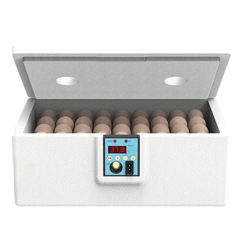 Eier Inkubator, Praktischer Wachtel Inkubator Für 32 Eier, Präzise Temperatursteuerung Mit Feuchtigkeitskontrolle Für Anfänger von Naqqios