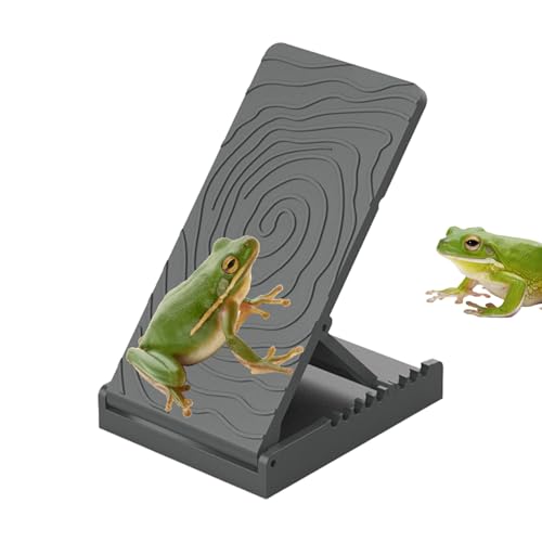 Reptilienrampe - bärtiger Drachenkletterschritt, verstellbare Echsenplattform | Terrarium Tank Accessoire, Vivarium Rasting Area für Chamäleons Schildkröte Frösche Salamanders Newts Iguane Geckos von Naqqios