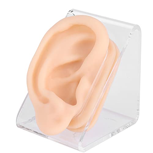 Naroote Gefälschte Ohren, Ohr -Piercings Ohr -Piercing Akupunktur Modell Naroote Gefälschte Ohren, Ohr -Piercings Ohr -Piercing Akupunktur Modell von Naroote