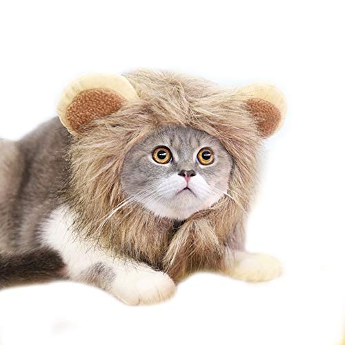 NashaFeiLi Haustier Hut Katze Halloween Kostüm Löwe Kopfbedeckung Cosplay Verstellbare Party Zubehör für kleine Hunde/Katzen von NashaFeiLi