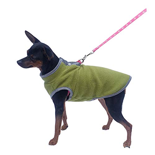 NashaFeiLi Haustier-Kleidung, Hundeweste für den Winter, warm, Hundegeschirr für kleine und mittelgroße Hunde (XS, Grün) von NashaFeiLi