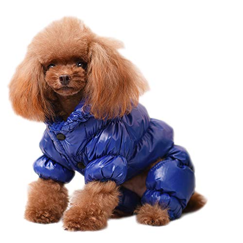 NashaFeiLi Haustiermantel, Hunde-Winter-Overall mit vier Beinen, wasserdicht, Baumwolljacke, für Welpen, kleine Hunde (M, blau) von NashaFeiLi