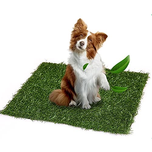NashaFeiLi Kunstrasen Hund Gras Matte Outdoor Pet Töpfchen Gras Matte Training Pads für Haustiere wiederverwendbar Kunststoff Gras Teppiche (40 x 60 cm) von NashaFeiLi