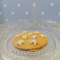 Fake Keks, Gefälschte Kuchen, Deko Keks von NatisStoreOfArts