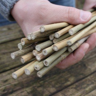 100 Bambusstäbe - Tonkinstäbe 90 cm lang / 6-8 mm dick von Native Plants