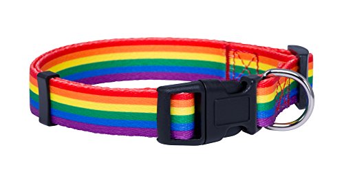 Native Pup Hundehalsband, Regenbogen-Flagge, Gay Pride Stuff für Parade, LGBTQ Flaggen, Equality Pet Apparel Decor Gift and LGBT Ally Accessories (groß) von Native Pup