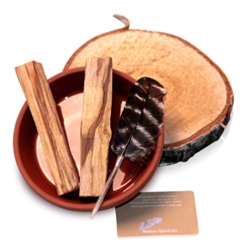 Native Spirit Feines Räucherset: Smudge Kit/Set mit TonSchale, 2X echtem peruanischem Palo Santo (Bursera Graveolens) & echter Truthahn Feder (Turkey Feather) von Native Spirit