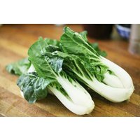 Bok Choy Samen von NativeUSASeedsLLC