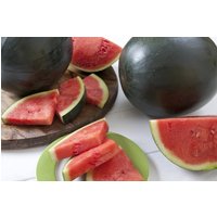 Citrullus Lanatus Samen Citrullus Lanatus Samen von NativeUSASeedsLLC