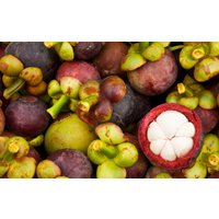 Garcinia Mangostana Samen Garcinia Mangostana Samen von NativeUSASeedsLLC