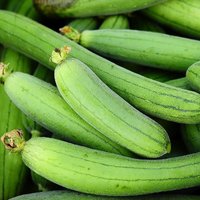 Luffa Samen von NativeUSASeedsLLC