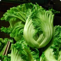 Mustard Samen Mustard Samen von NativeUSASeedsLLC