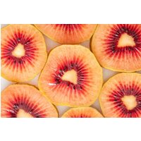 Red Kiwi Samen Red Kiwi Samen von NativeUSASeedsLLC