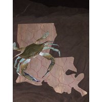 Taxidermie Taxidermie von NativeprideStore