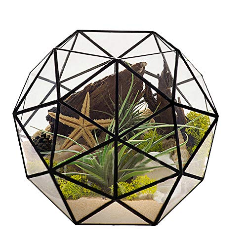 Geometrisches Terrarium-Pflanzgefäß, Glas, Blumentopf, Container, Luftpflanzen-Display für Sukkulenten, Balkon, Tischplatte, Miniatur, Feengarten, modernes Dekor von Natudeco